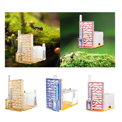 Gehäuse nest diy - ,
