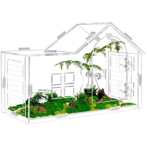 Acryl terrarium springende - terrarium,