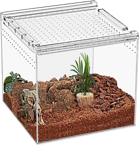 Reptile terrarium x 15 - reptile, terrarium,17